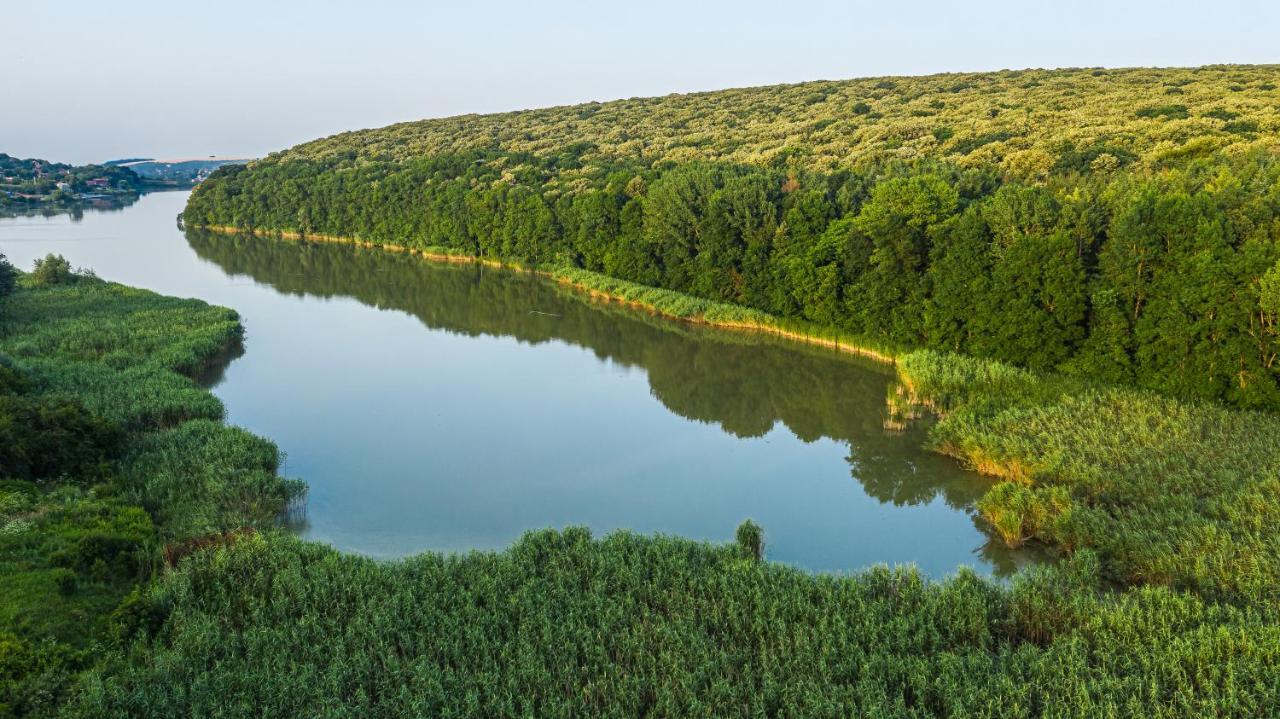 Вила Теkето I Vila Teketo Family Guest House Nikolovo Eksteriør billede